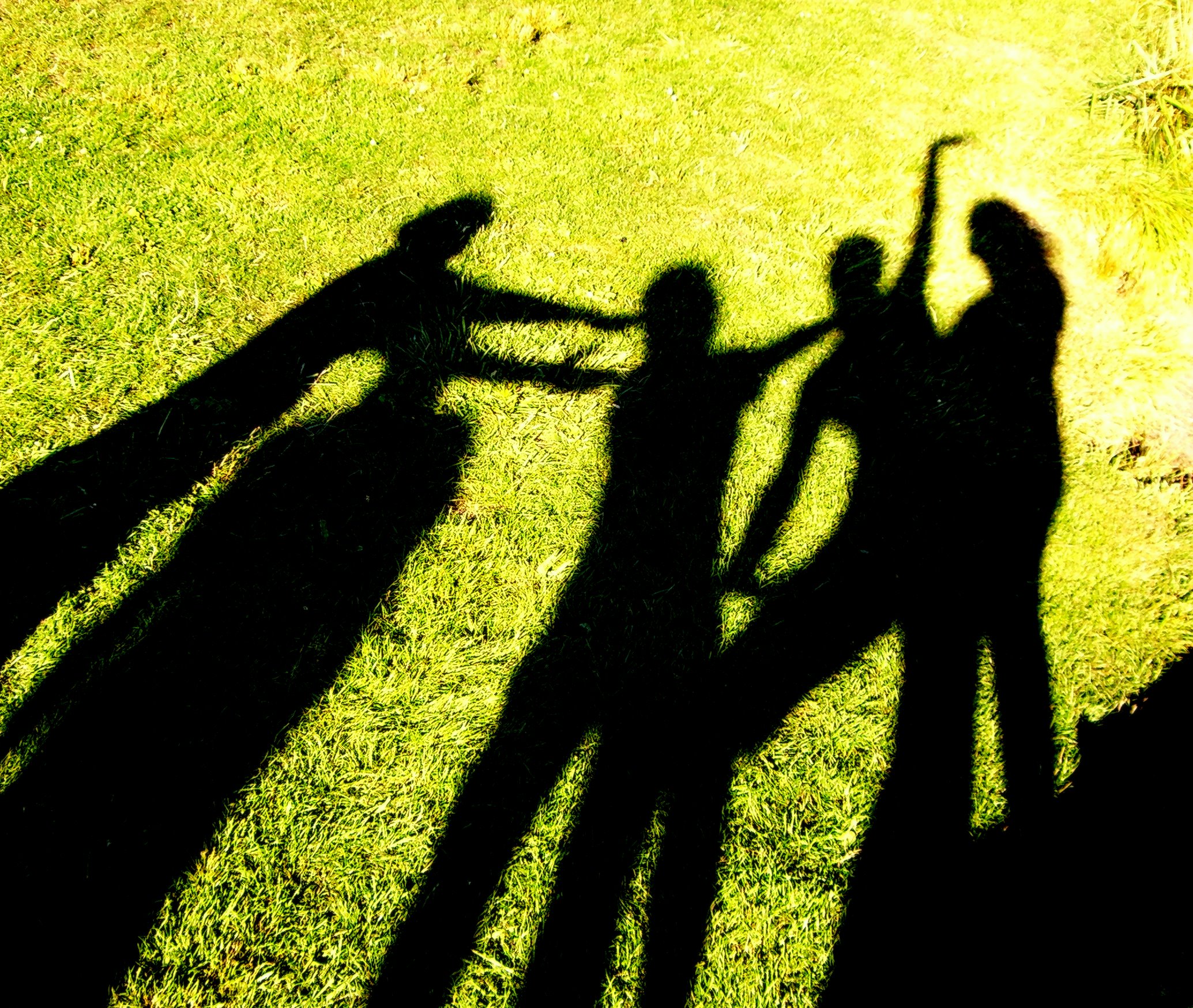 Friends playing shadow in grass